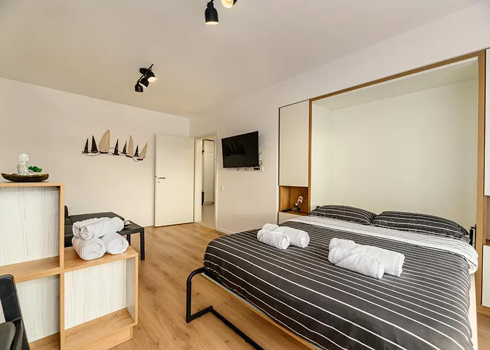 Mohost Luxury Landing Complex Qualis 公寓 布拉索夫