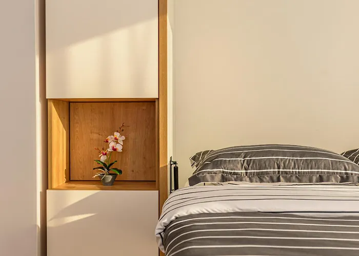 Mohost Luxury Landing Complex Qualis * 布拉索夫