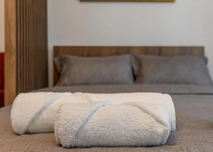 公寓 Mohost Luxury Landing Complex Qualis 布拉索夫