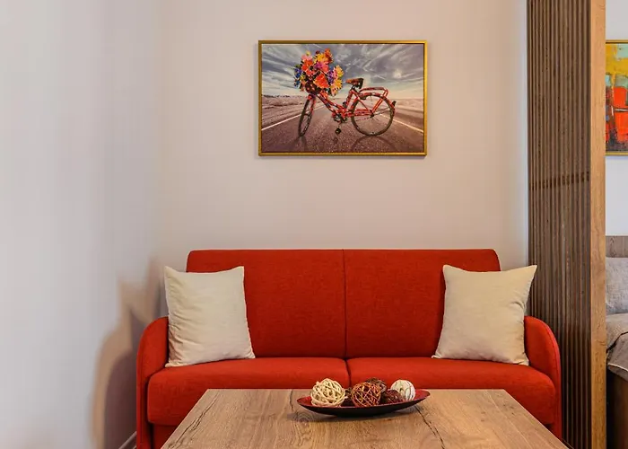 Mohost Luxury Landing Complex Qualis 公寓 布拉索夫